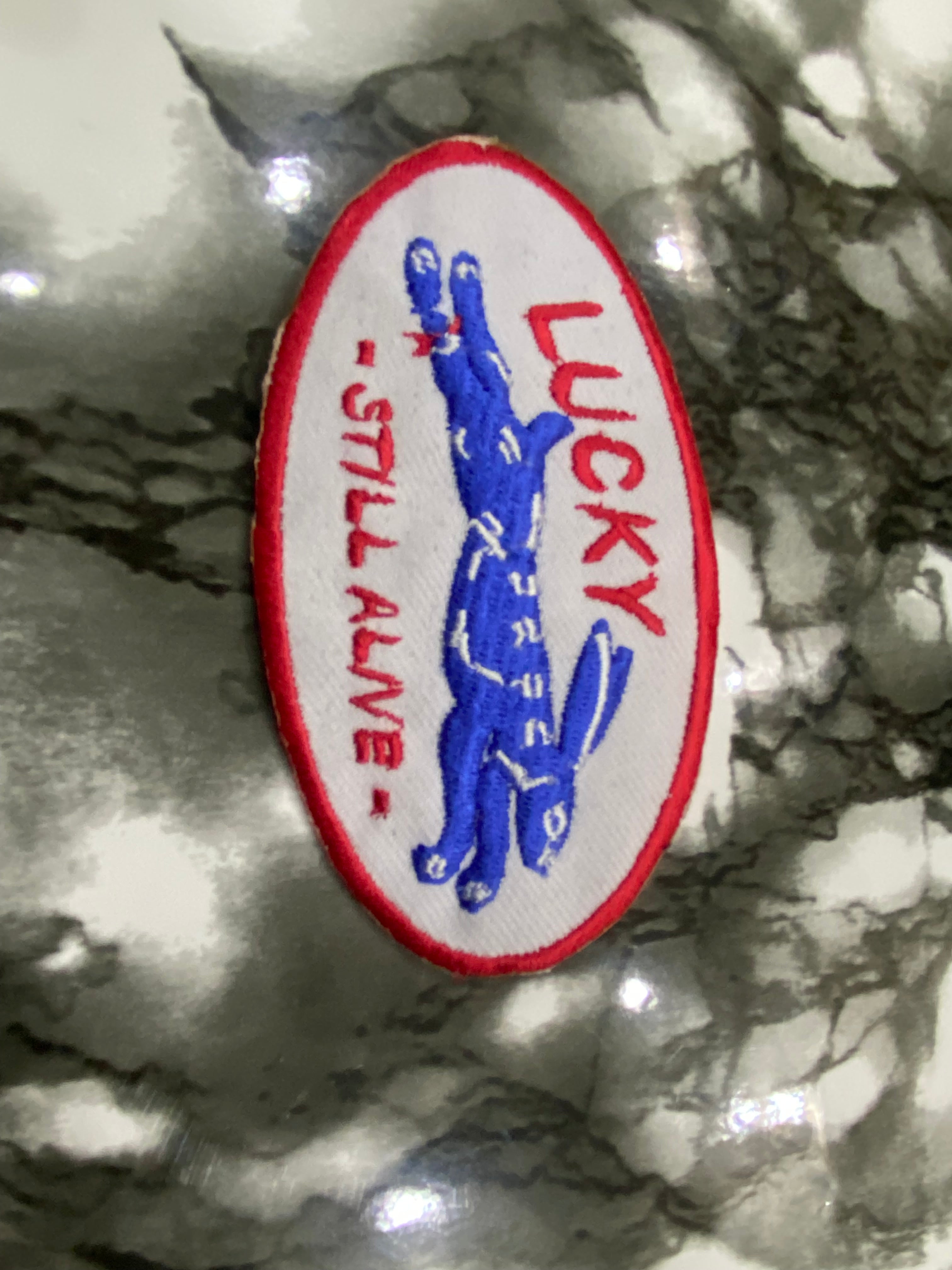 Lucky Rabbit "Still Alive" Patch – Retro Cartoon Style Small Embroidered Applique