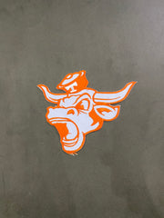 Texas Longhorns Burnt Orange Patch Collection | Large Circular Back Patch, Horn Shaped Logo, Bevo Head, SEC Badge | Iron On Sew On Varsity