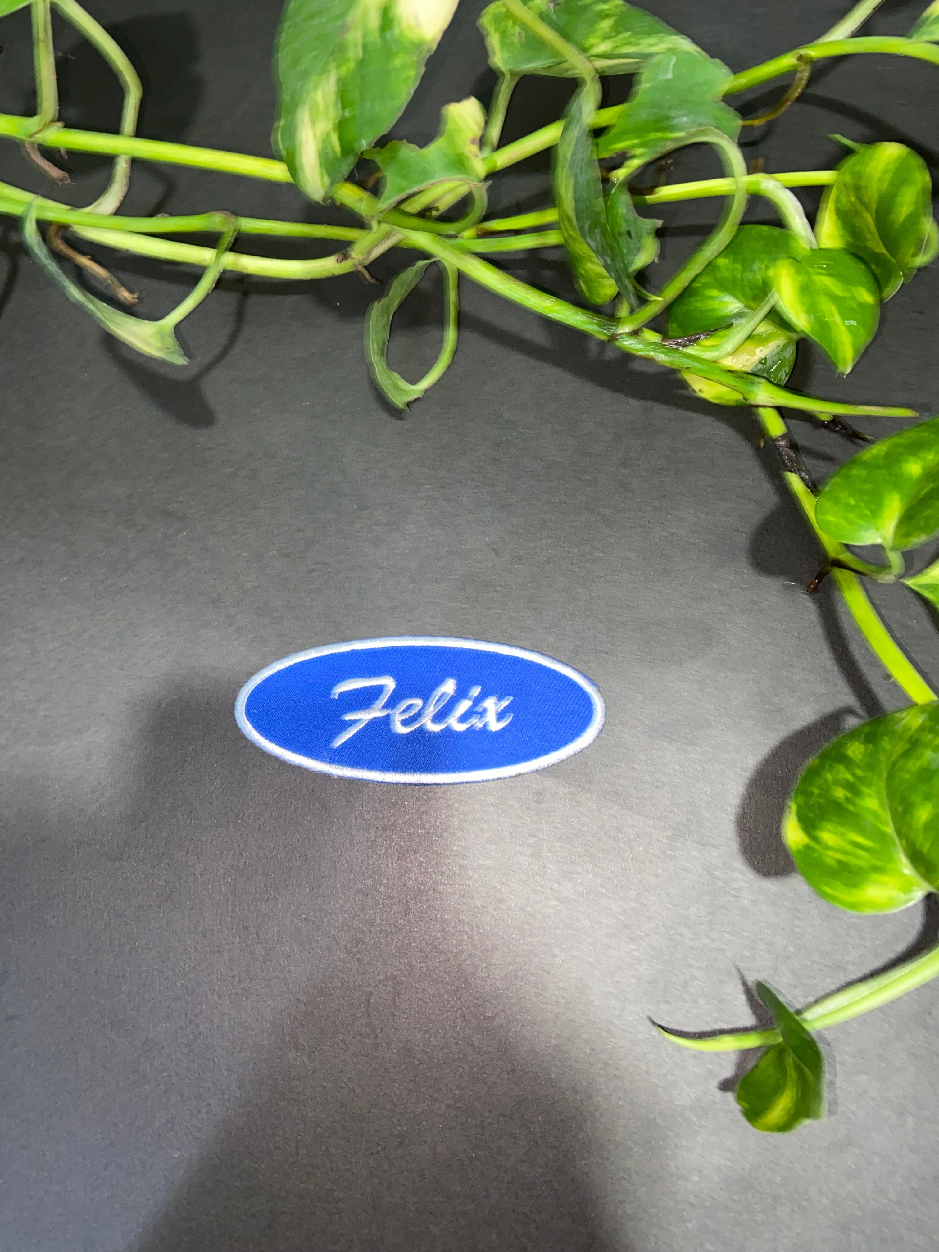 Fix-It Felix Jr. 2-Piece Patch Set | Felix Name & 'F' Logo Embroidered Iron-On for Costume