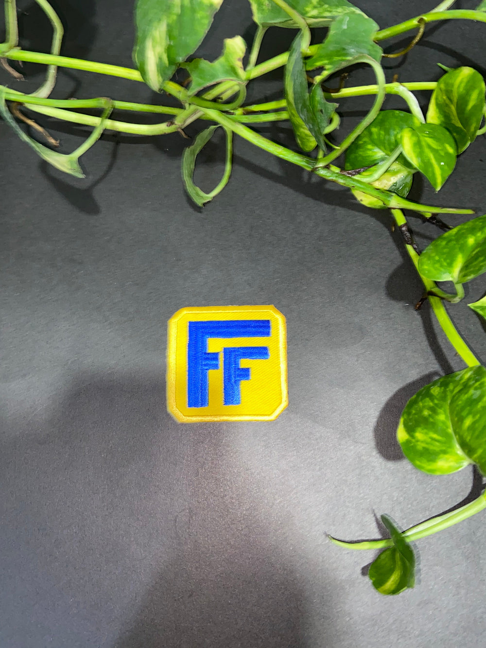 Yellow and blue logo on a dark background with green leaves in the foreground