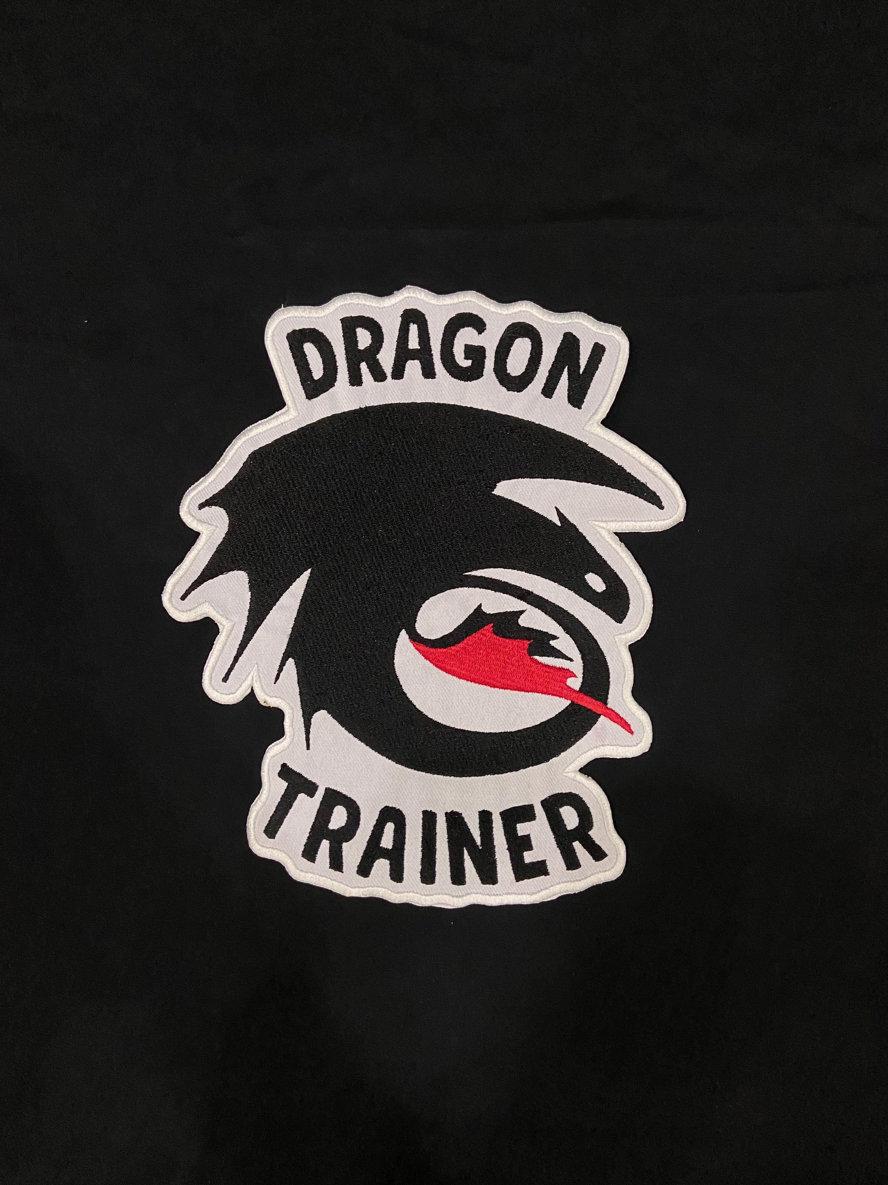 Dragon Trainer Rider Embroidered Patch – Mythical Beast Back Applique