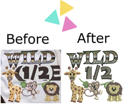 Custom Embroidery Digitizing