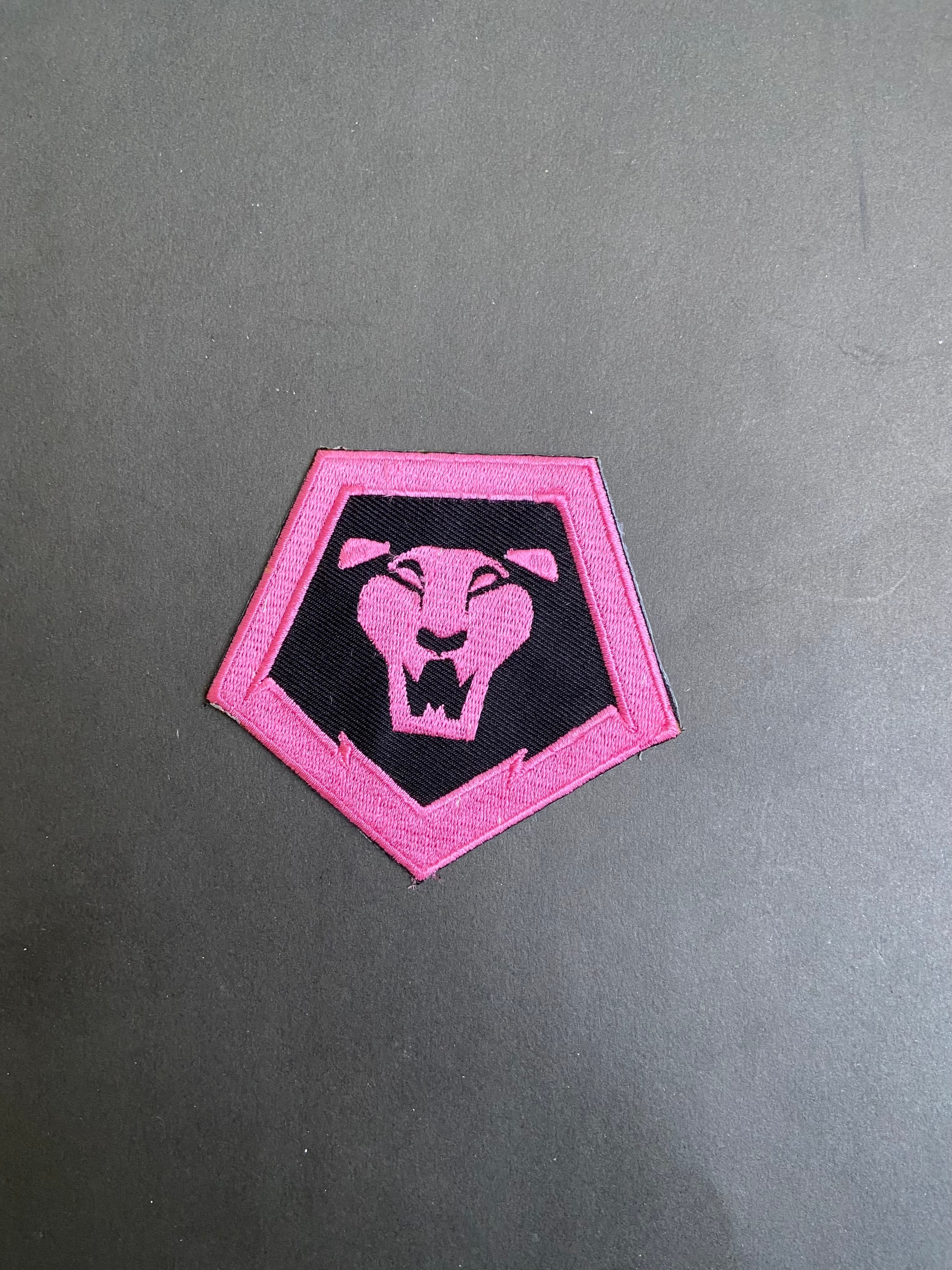 Kpop Saja Boys Embroidered Back Patch – 12" Demon Hunter Lion Logo – Iron-On